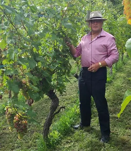 Charme - Lindenhof 3*